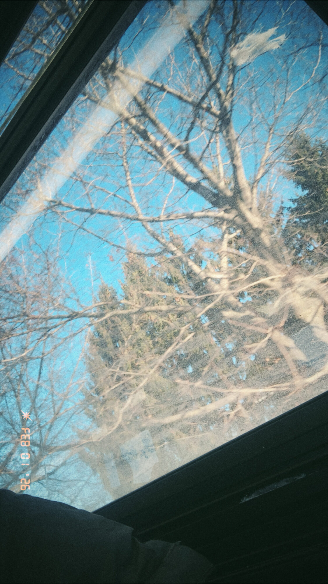 View through a vehicle window of bare winter trees against a blue sky